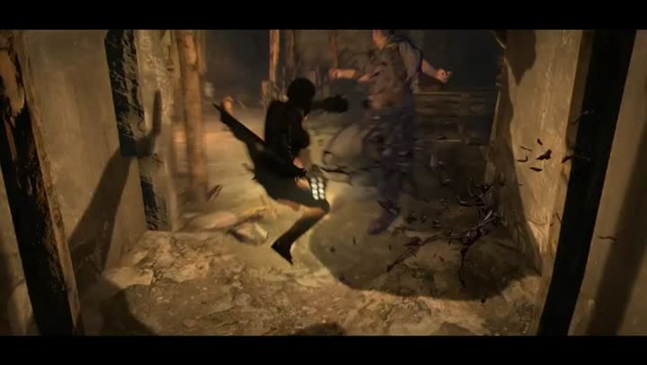 Dragon's Dogma : Carnet de développement