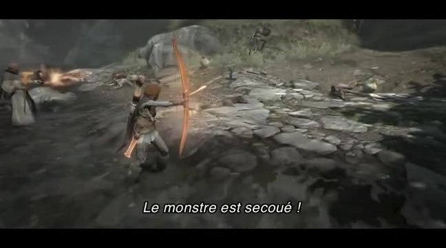 Dragon's Dogma : Progression 1 : Les pions