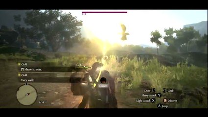 Dragon's Dogma : Oh le gentil zozio !