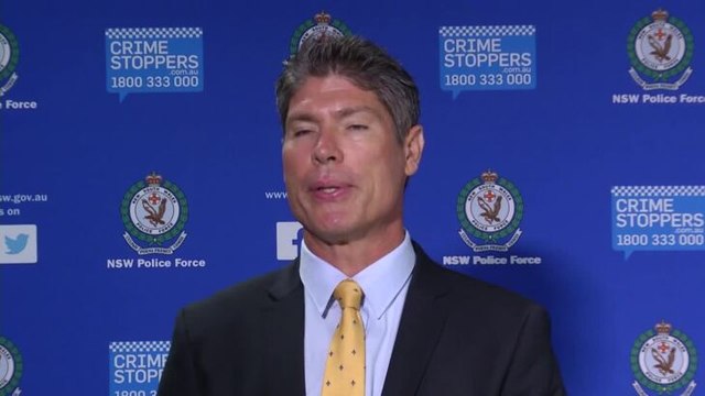 100320 Arson Pressa release