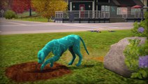 Les Sims 3 : Animaux & Cie : Bonus de pré-commande