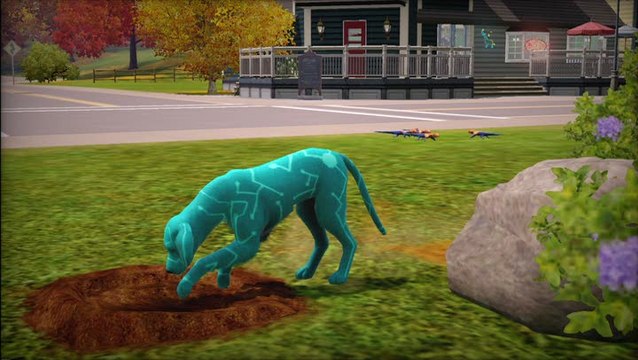 Les Sims 3 : Animaux & Cie : Bonus de pré-commande