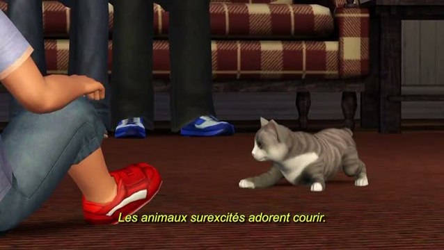 Les Sims 3 : Animaux & Cie : Présentation détaillée