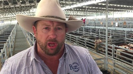 Phill Butt describing weaner sale at Yass