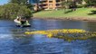 2021 Port Macquarie Lions Duck Race