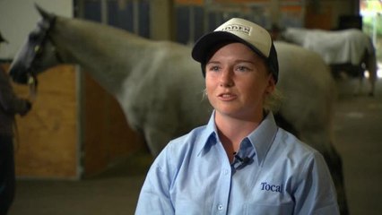 LEARNING STRAIGHT FROM THE HORSE’S MOUTH