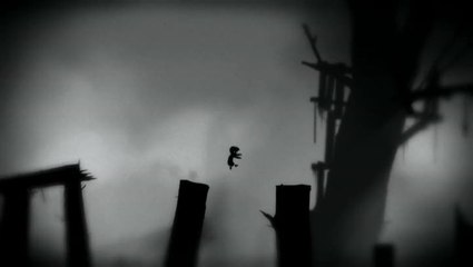 Limbo : Limbo sur PC et PS3