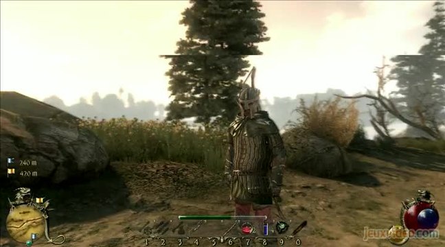 Two Worlds II : Pirates of the Flying Fortress : 2/2 : Un confort de jeu accru pour une expérience plus agréable