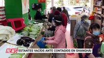 BRASILEÑOS VOLUNTARIOS LUCHAN POR UCRANIA