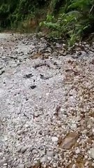 Extream Jalan curang berbatu