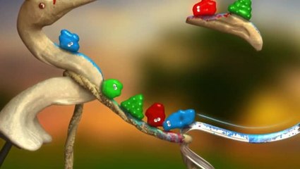 The Splatters : Trailer de lancement