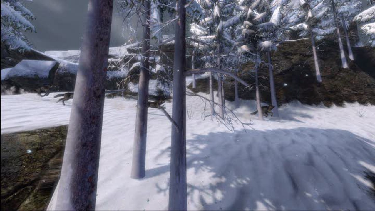 Cabela's Survival : Shadows of Katmai : Cabela : Among Wolves