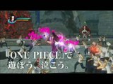 One Piece : Pirate Warriors : Publicité japonaise