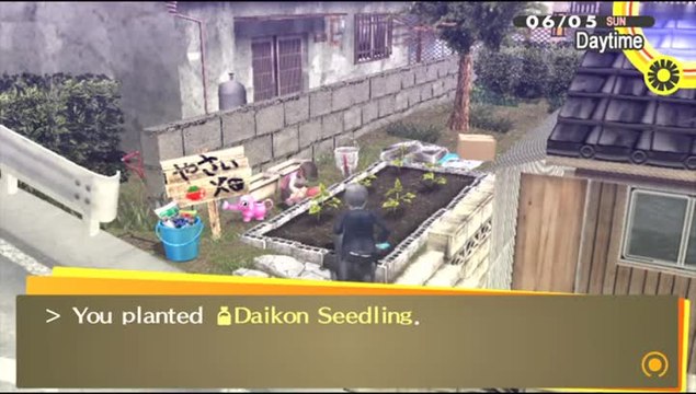 Persona 4 : The Golden : Extras : Home Gardening