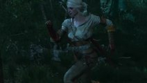 The Witcher 3 : Wild Hunt : Game Awards 2014