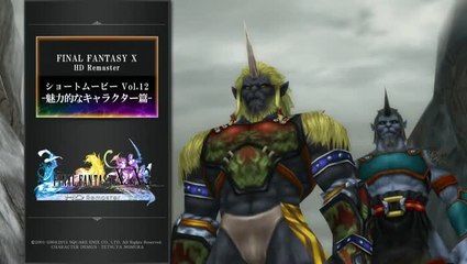 Final Fantasy X HD : Bavardages