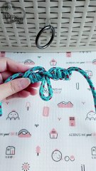 Dropper Loop Knot - 滴管環結