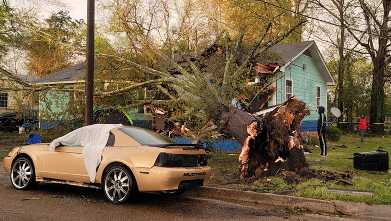 Large tree falls on woman's house as severe storms slam Mississippi video Dailymotion