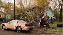 Large tree falls on woman's house as severe storms slam Mississippi