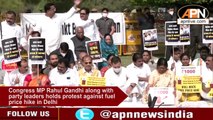 Watch: Congress Leaders Along With Rahul Gandhi Stage Protest Against Petrol Price Hike- Delhi News
