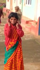 இங்க பாருங்க அதிசயத்தை.. பெண்ணுக்கு பேன் பார்க்கும் குரங்கார்... மங்கி இஸ் ஆல்வேய்ஸ் அல்டிமேட்!