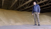 Ukraine farmers plough on in the face of war that is fuelling a food crisis