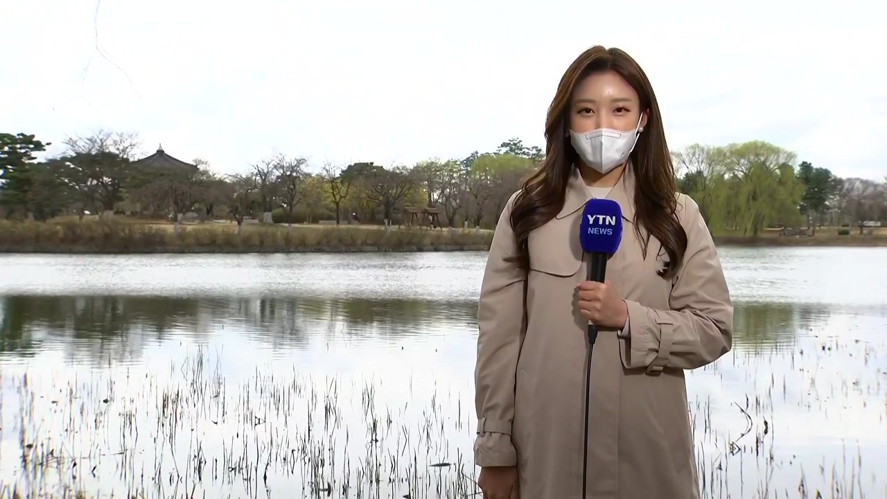 [날씨] 흐리지만 포근, 산발적 빗방울...강원 북부 산간 대설특보 / YTN