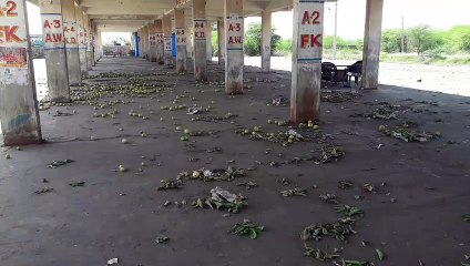 यहां छाया-पानी व टेंट के नहीं हुए इंतजाम, अब ये आएगी परेशानी