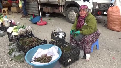 Şifa kaynağı 'Kaldirik otu' pazardaki yerini aldı