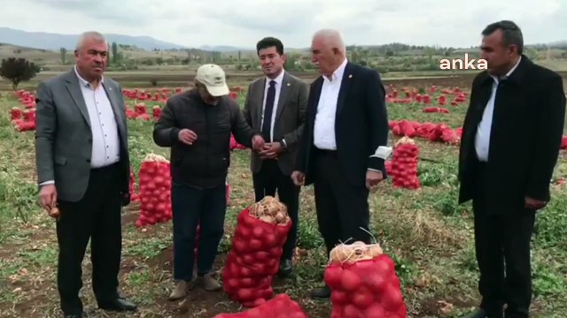 Soğanı tarlada kalan Yozgatlı çiftçi: AK Parti’ye kaç defa oy verdim, gelsinler de halimizi görsünler