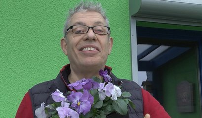 Roland Motte, jardinier : les pensées, de toutes les couleurs et de toute facilité