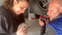 Cipin motor kısmını yuva yapan yavru kediler iki kez serviste çıkarıldı