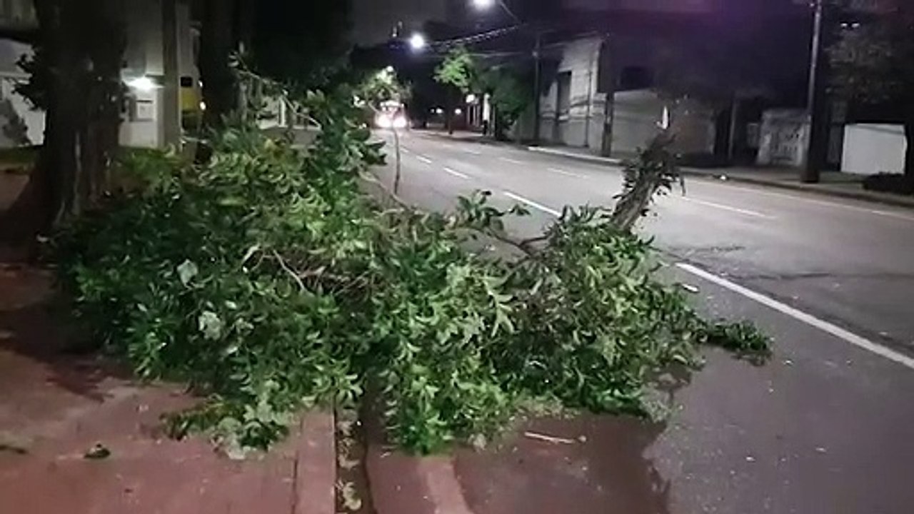 Previsão do Tempo: dia começa gelado com mínima de 10ºC e rajadas de ventos de 66 km/h