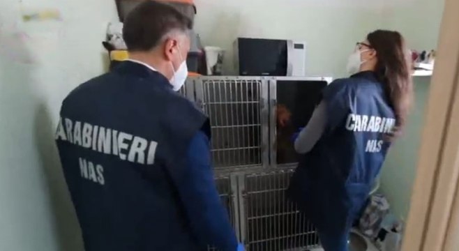 Controlli in ambulatori veterinari, 49 denunce e 141 sanzioni in diverse regioni (31.03.22)