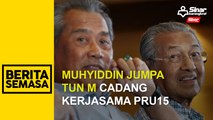Muhyiddin jumpa Tun M cadang kerjasama PRU15