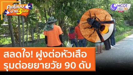 สลดใจ ฝูงต่อหัวเสือ รุมต่อยยายวัย 90 ดับ (31 มี.ค. 65) คุยโขมงบ่าย 3 โมง