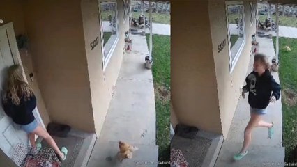 'CRAZY rooster chases girl to her doorstep *SHE WAS RUNNING FOR HER LIFE!*'