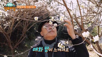 봄기운으로 가득 찬 따듯한 지심도 여행! 동백 꽃 구경하고 가세요~