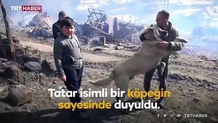 "Tatar" isimli köpek köylüleri uyandırarak yangını haber verdi