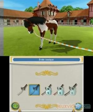Mon Haras 3D - Tous en Selle : Au pré