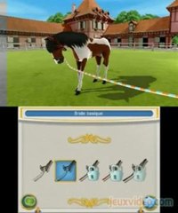 Mon Haras 3D - Tous en Selle : Au pré