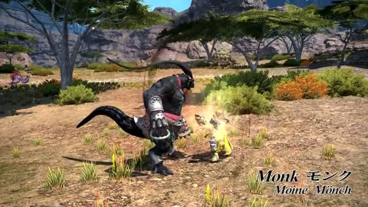 Final Fantasy XIV : A Realm Reborn : Job Actions