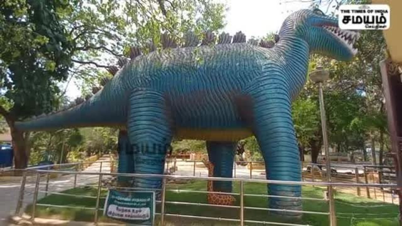 கிளிக்கு மறு வாழ்வு கொடுத்த மாணவர்கள்; கன்னியாகுமரியில் நெகிழ்ச்சியான சம்பவம்!