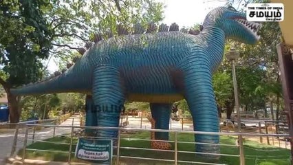 கிளிக்கு மறு வாழ்வு கொடுத்த மாணவர்கள்; கன்னியாகுமரியில் நெகிழ்ச்சியான சம்பவம்!