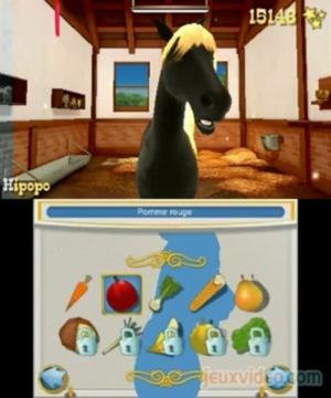 Mon Haras 3D - Tous en Selle : Au box