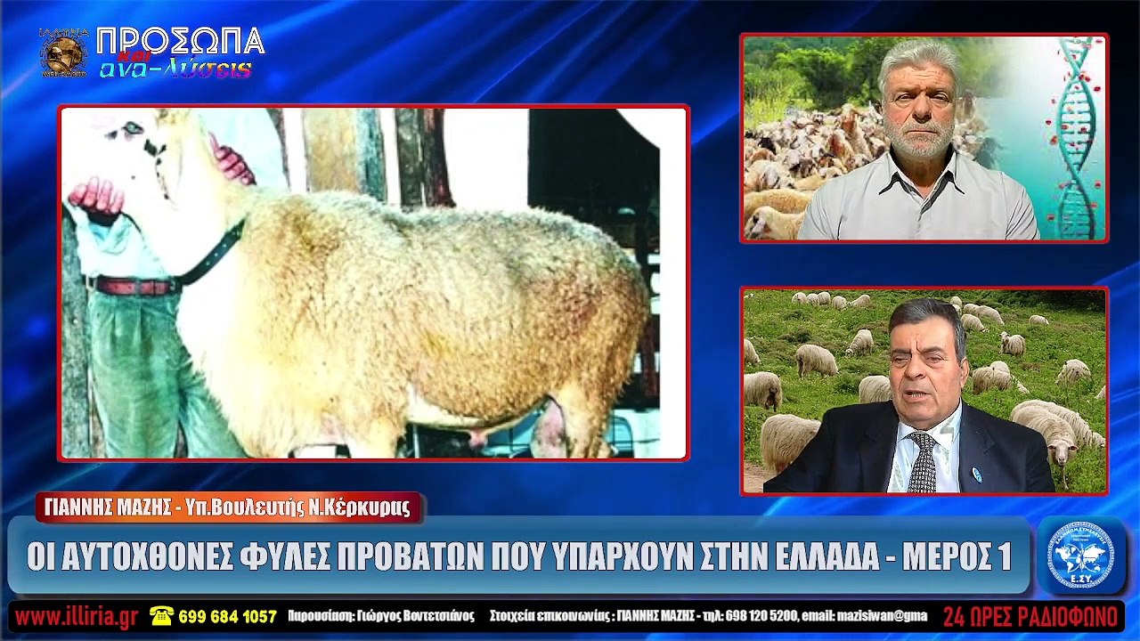 ΙΛΛΥΡΙΑ WEB TV  ΟΙ ΑΥΤΟΧΘΟΝΕΣ ΦΥΛΕΣ ΠΡΟΒΑΤΩΝ ΠΟΥ ΥΠΑΡΧΟΥΝ ΣΤΗΝ ΕΛΛΑΔΑ - ΜΕΡΟΣ 1  ΓΙΑΝΝΗΣ ΜΑΖΗΣ_2022 03 31_03 45 06_1_187