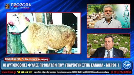 ΙΛΛΥΡΙΑ WEB TV  ΟΙ ΑΥΤΟΧΘΟΝΕΣ ΦΥΛΕΣ ΠΡΟΒΑΤΩΝ ΠΟΥ ΥΠΑΡΧΟΥΝ ΣΤΗΝ ΕΛΛΑΔΑ - ΜΕΡΟΣ 1  ΓΙΑΝΝΗΣ ΜΑΖΗΣ_2022 03 31_03 45 06_1_187