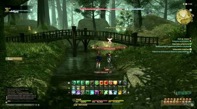 Final Fantasy XIV : A Realm Reborn : 1/3 : Le renouveau