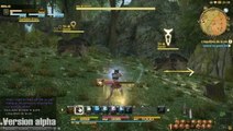 Final Fantasy XIV : A Realm Reborn : Des quêtes intenses