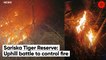 Sariska Tiger Reserve not fire-prone, but burned despite early warnings